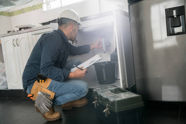 Best Plumbing Repair Near Me  in Somonauk, IL