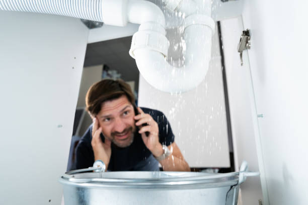 Best Plumbing Installation Services  in Somonauk, IL