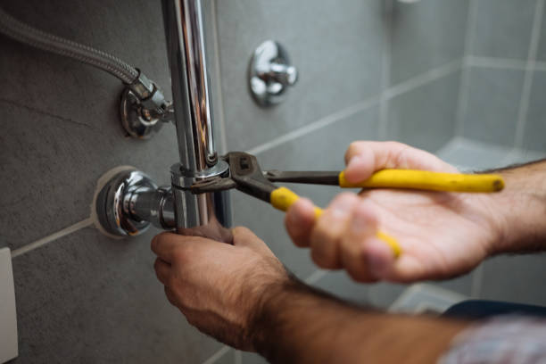 Best Sewer Line Repair  in Somonauk, IL