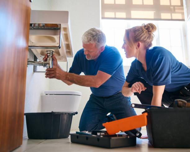 Best Plumbing Repair Near Me  in Somonauk, IL